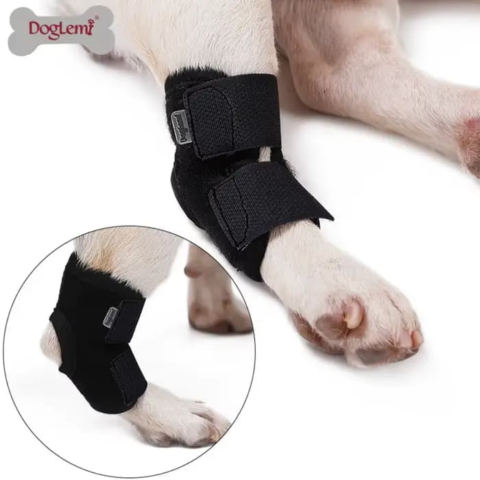 Protection de la bandage pour chien, couverture de protection contre l'arthrite, soutien des jambes
