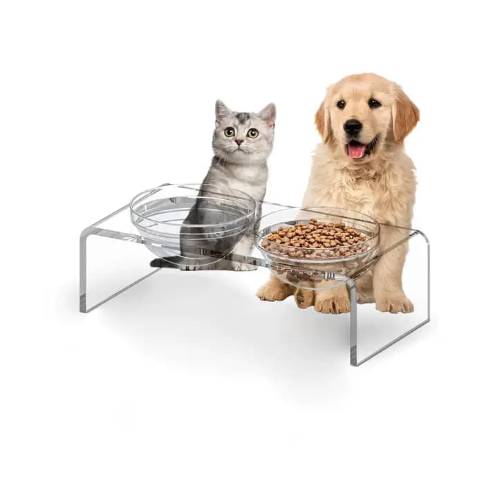 Support de gamelle pour animaux de compagnie, support d'alimentation pour nourriture et eau, adapté