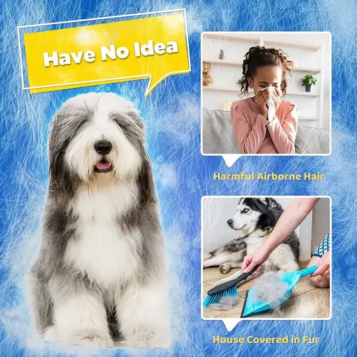 Gant de toilettage pour animaux de compagnie, doux et efficace, dissolvant de poils d'animaux, acces