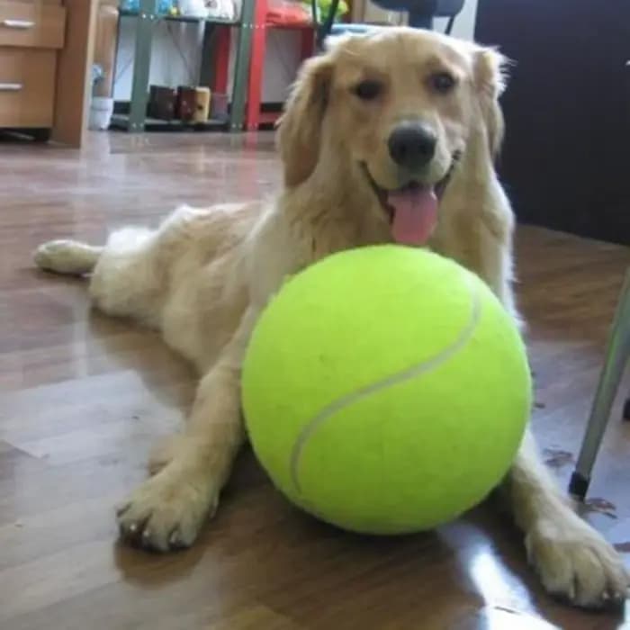 Balle de Tennis géante pour chien, 7/8/9.5 pouces, jouets pour animaux de compagnie, jouet à mâcher,