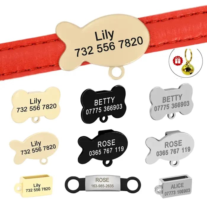 Étiquette d'identification Anti-perte pour chien et chat, pour collier gravé, étiquettes d'identific
