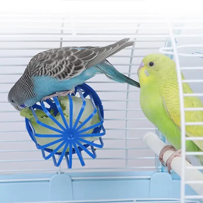 Mangeoire pour oiseaux et perroquets, porte-fruits et légumes, panier d'accès, conteneur, jouet pour