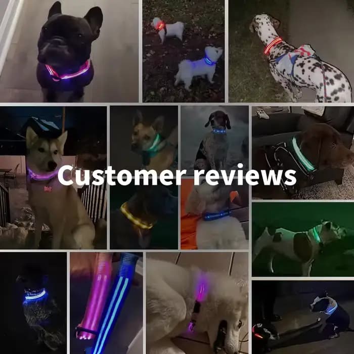 Collier de chien lumineux LED réglable clignotant Rechargea collier lumineux nuit Anti-perte harnais