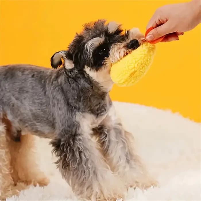 Jouet à mâcher en peluche pour animaux de compagnie, chien frit, ShriAJTempura, chien grinçant, jeu