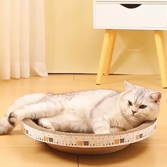Gratte-chat ondulé grattoirs pour chat rond ovale meulage griffe jouets pour chats résistant à l'usu