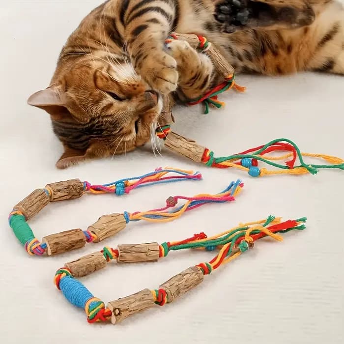 Jouet 2 pièces qui attire les chats à jouer-un jouet naturel pour chat en corde, utilisé pour la mas