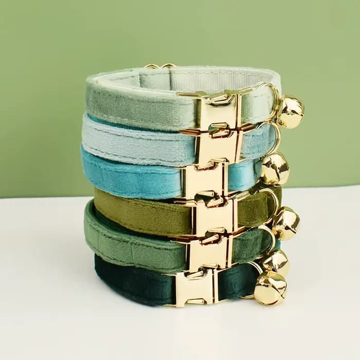 Collier de chat en velours avec nœud papillon, personnalisé pour chats, fournitures pour chats, cein
