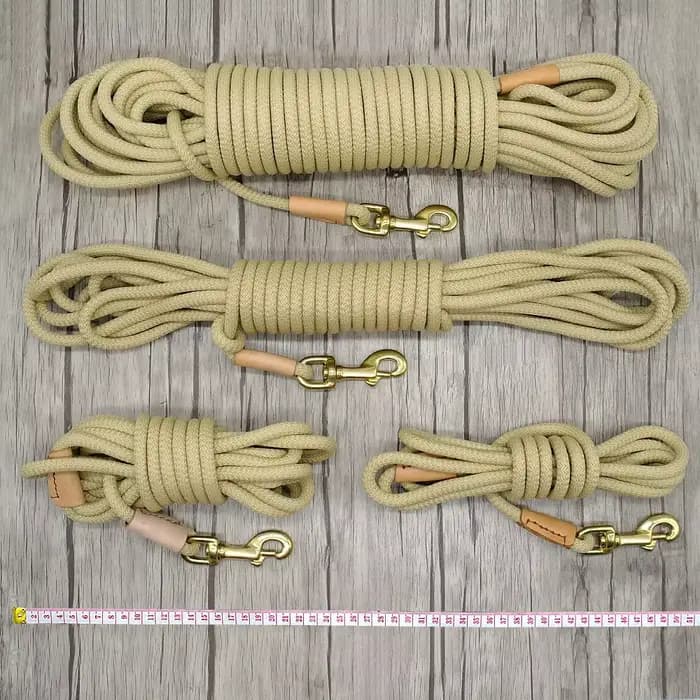 Laisse de suivi Durable pour chien, longue corde en Nylon, entraînement pour animaux de compagnie, l