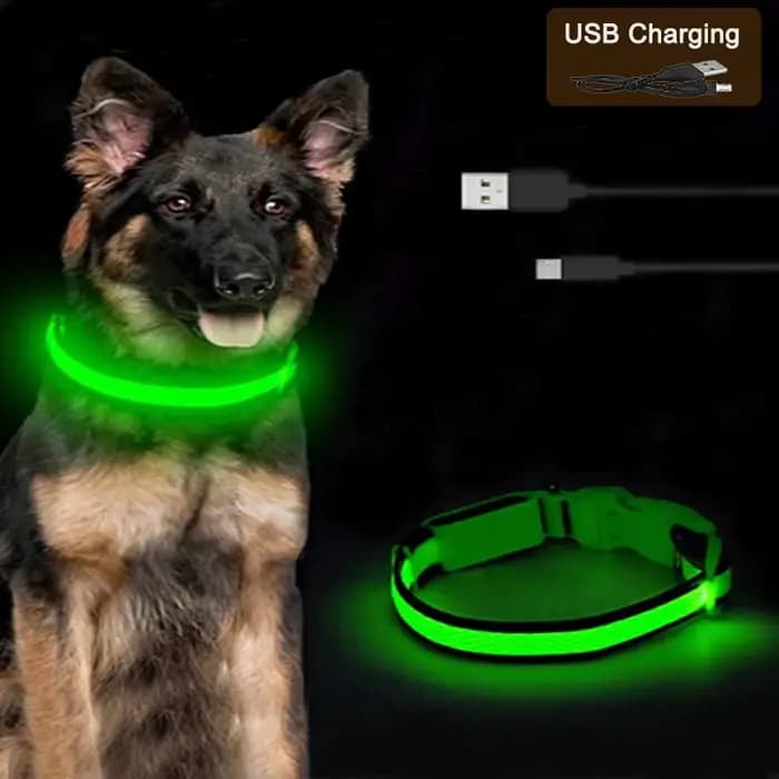Colliers de Charge lumineux pour chiens, 3 Modes, Led Usb, pour chat, détachable, lueur nocturne, pr