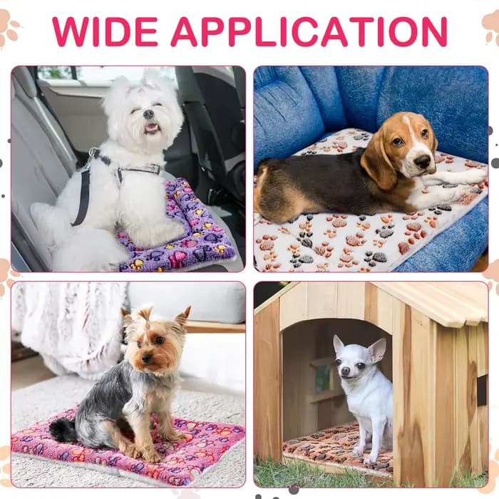 Tapis pour animaux de compagnie en flanelle, lit pour chien et chat, tapis de couchage épais, couver