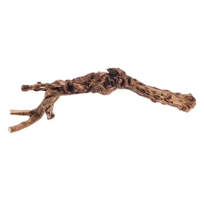 Branche de bois naturel pour animaux de compagnie, matériel d'escalade cachant, boîte d'élevage de t