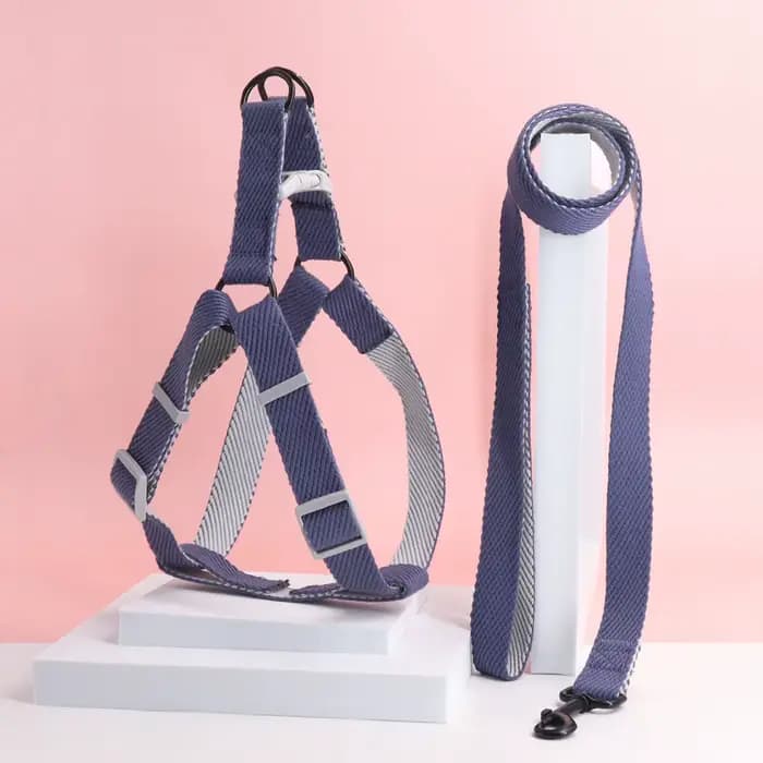 Une laisse pour chien harnais bicolore pour chien pour usage intérieur et extérieur