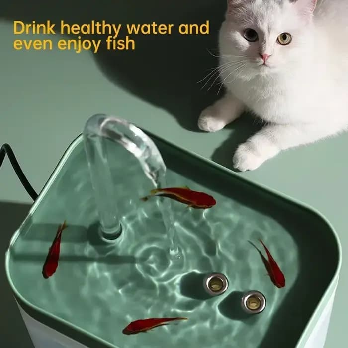 Filtre de fontaine d'eau Ultra silencieux pour chat, 1,5 l, distributeur d'eau automatique intellige