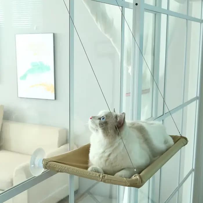 Hamac pour animaux de compagnie, lit aérien suspendu pour chat, maison pour chaton, cadre d'escalade