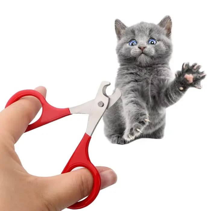 Ciseaux à ongles pour chat et chien, coupe-ongles pour orteils, produits professionnels de toilettag