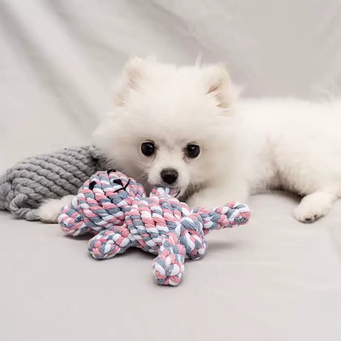 Jouet à Mâcher Résistant aux Morsures pour Chien, Petit Gabarit, Nettoyage des Dents, Chiot, Corde,