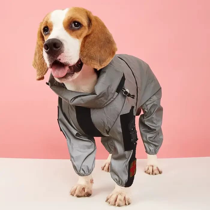 Manteau imperméable pour grand chien, protection solaire, veste réfléchissante, imperméable pour ani