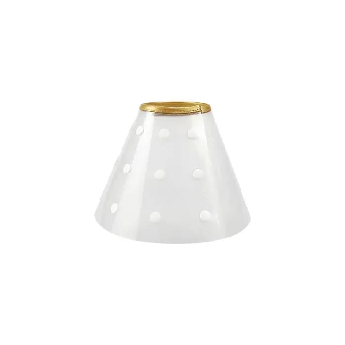 Collier de récupération Transparent pour chat, réglable, Anti-léchage, collier élisabéthain en plast