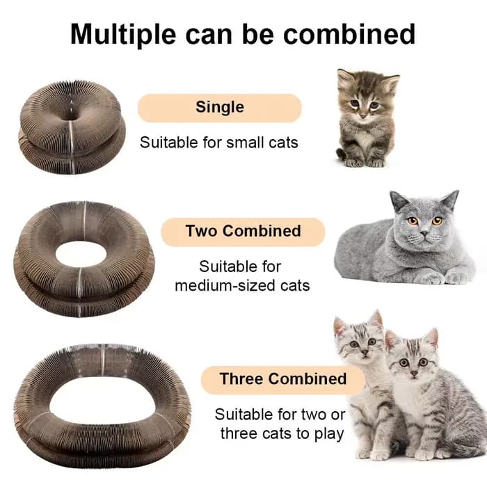 Planche à gratter pour chat, orgue magique pliable, jouet amusant, griffe de meulage, lit de couchag