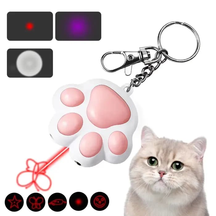 Jouet aste au laser pour animal de compagnie, motif de transformation, LED mignonne, animation lumin