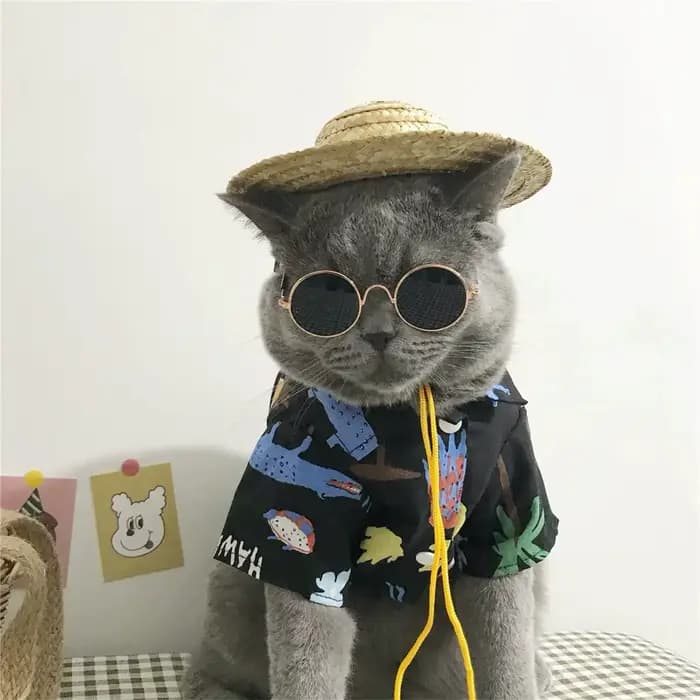 Lunettes de soleil rondes Vintage pour chat, lunettes réfléchissantes, produits pour animaux de comp