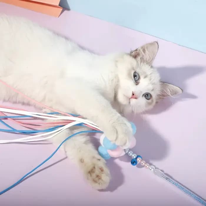 Bâton de jouet interactif à franges pour chat, jouet amusant pour chaton, bâton de fée pour animaux