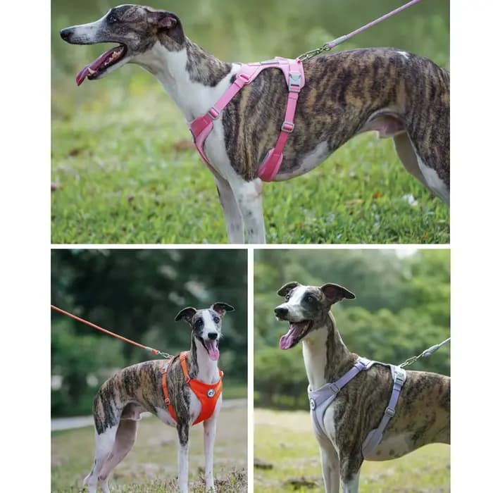 Harnais respirant pour chien, gilet réfléchissant sans traction pour animaux de compagnie, pour peti