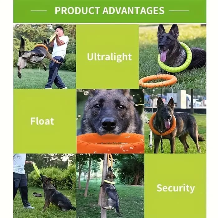 Jouets flottants pour animaux de compagnie, disque volant, anneau d'entraînement, jouet coule, extra