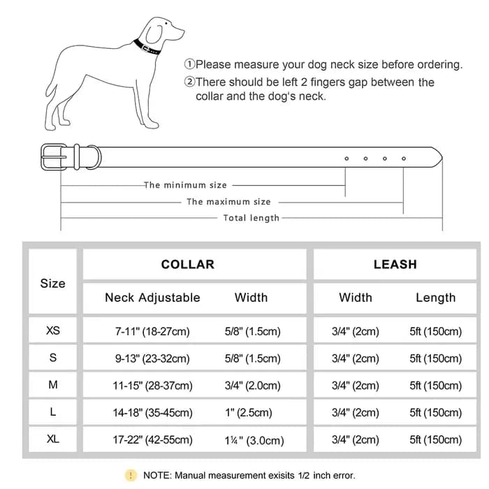 Ensemble de laisse de collier de chien en cuir personnalisé, collier en cuir rembourré souple pour p