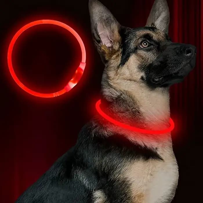 Collier de chien Led Usb collier de Charge lumineux de nuit pour chien de compagnie Led sécurité noc