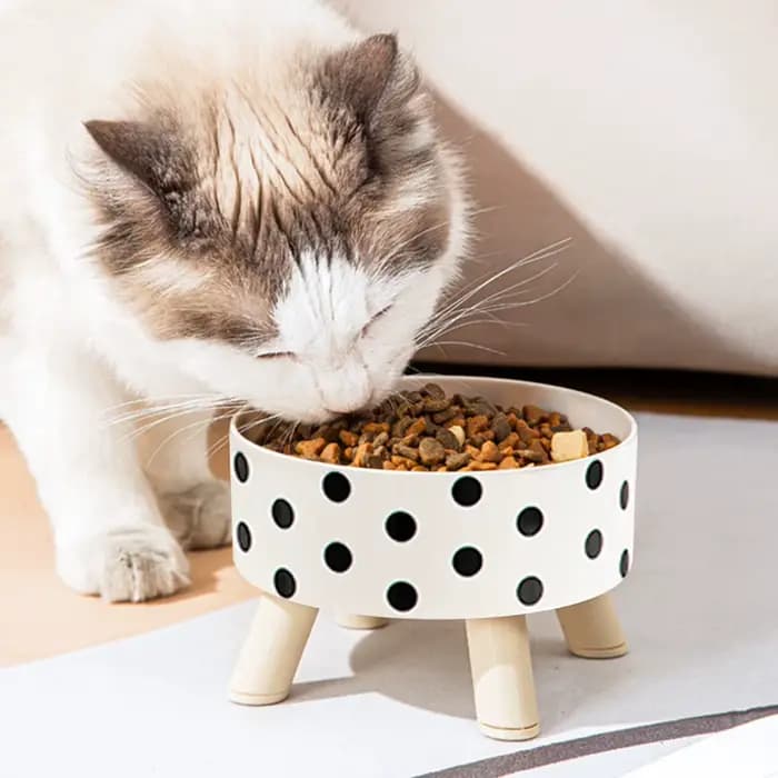Bol en plastique pour chat et chien avec motif damier à pois, antidérapant et facile à nettoyer