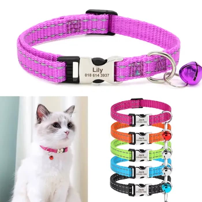 Collier personnalisé gravé pour animal de compagnie, colliers de coulée pour chaton et chiot, collie