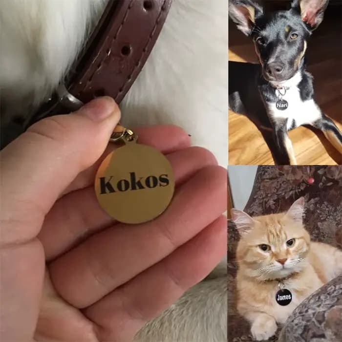 Collier personnalisé avec nom de chien et chat, accessoires circulaires personnalisés, étiquette d'i