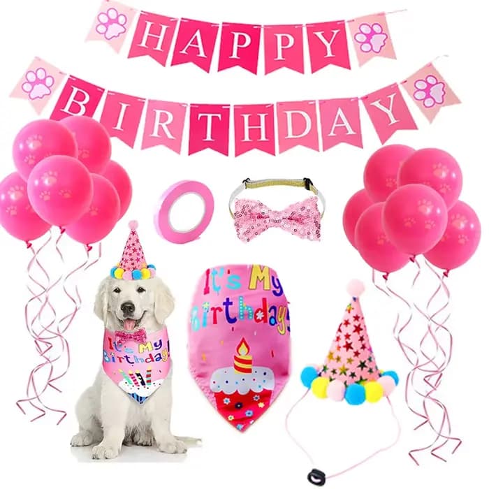 Ensemble de ixd'Anniversaire pour Animaux de Compagnie, Ballon, Bandana, Chapeau, Nministériels d Pa