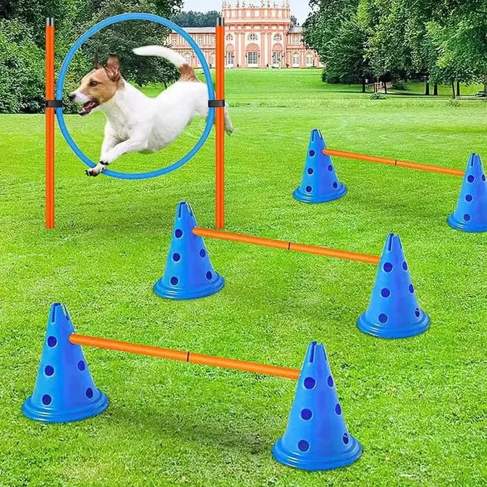 Ensemble d'entraînement d'agilité pour animaux de compagnie, barre de saut, équipement d'entraînemen