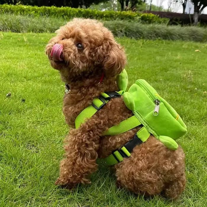 Sac à dos souple pour animaux de compagnie, sac à collation pour chien, sac d'école mignon pour chio