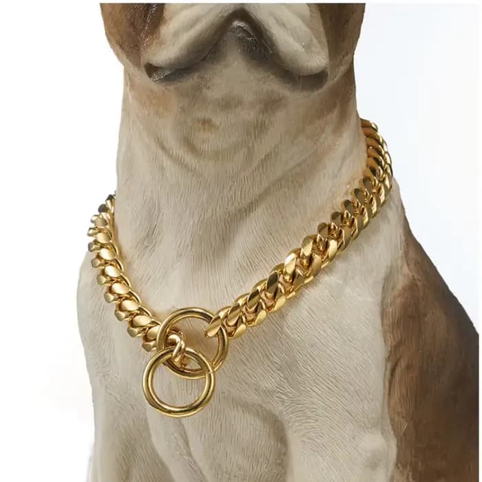 Collier de luxe pour chien, chaîne dorée pour Pitbull, Bulldog, Teddy, Bouledogue Français, collier