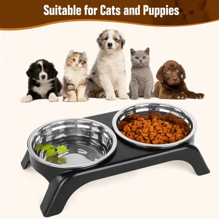 Bols surélevés pour chat, bol pour chien, ensemble de bols d'eau surélevés en acier inoxydable avec