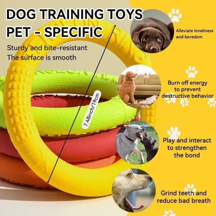 Jouets flottants pour animaux de compagnie, disque volant, anneau d'entraînement, jouet coule, extra