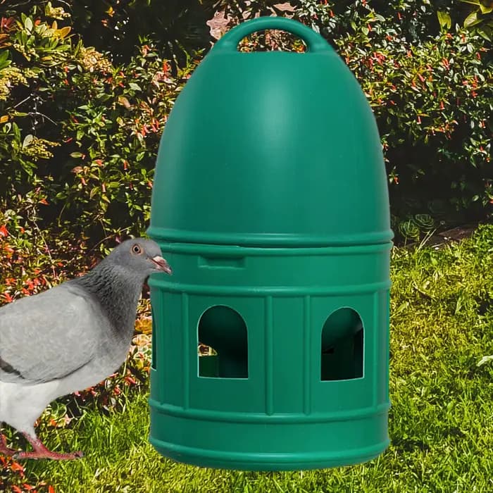 Distributeur d'eau pour pigeons, abreuvoir pour oiseaux, mangeoire pour oiseaux, accessoires de gran
