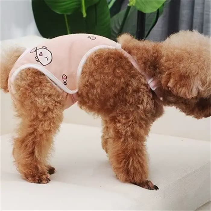 Culotte physiologique réutilisable pour animaux de compagnie, pour petits chiens, avec sangles, sous