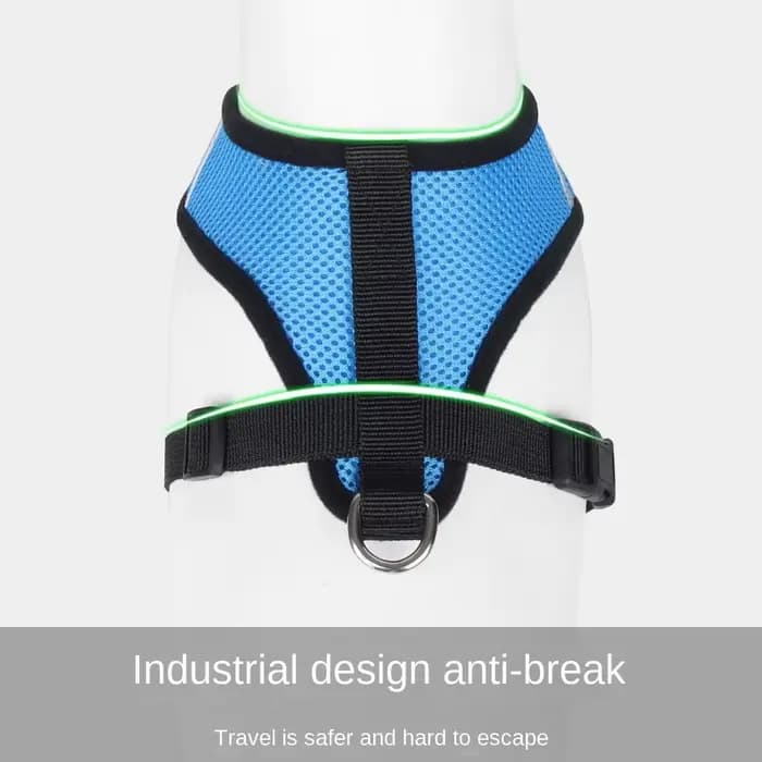 Harnais d'été pour chien et chat, laisse en plomb, gilet réglable, maille en Polyester, respirant, r