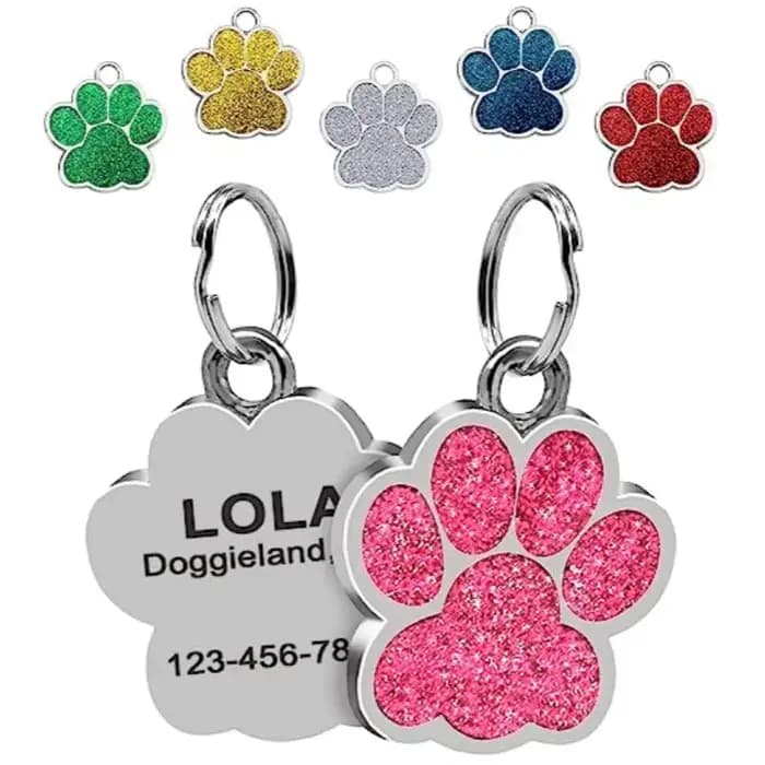 Étiquettes personnalisées pour chien et chat, étiquette gravée avec nom d'identification pour chiot,