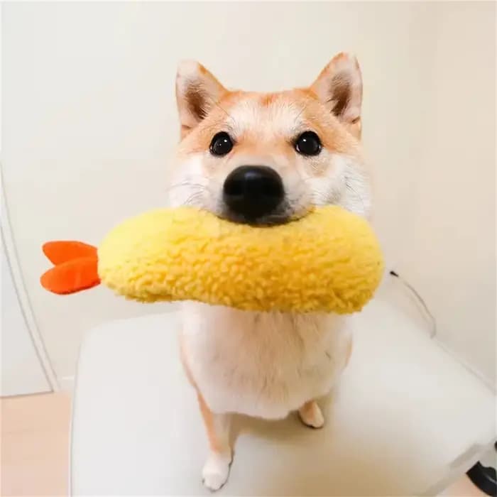 Jouet à mâcher en peluche pour animaux de compagnie, chien frit, ShriAJTempura, chien grinçant, jeu