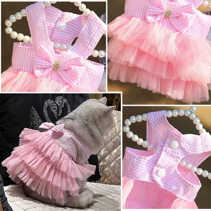 Robe d'été en dentelle pour chien et chat, vêtements pour animaux de compagnie, jupe à rayures Chihu