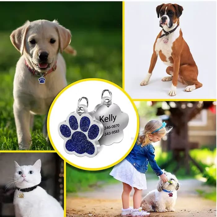Étiquettes personnalisées pour chien et chat, étiquette gravée avec nom d'identification pour chiot,