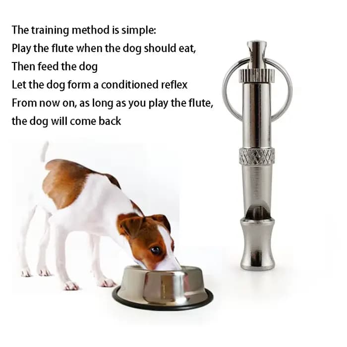 Sifflet pour chien pour arrêter d'aboyer, contrôle des aboiements, entraînement pour chiens, sifflet