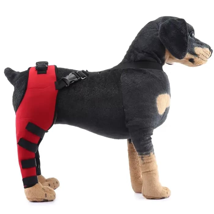 Genouillères pour chiots de compagnie, attelles arrière pour chiens blessés, attelle de soutien pour