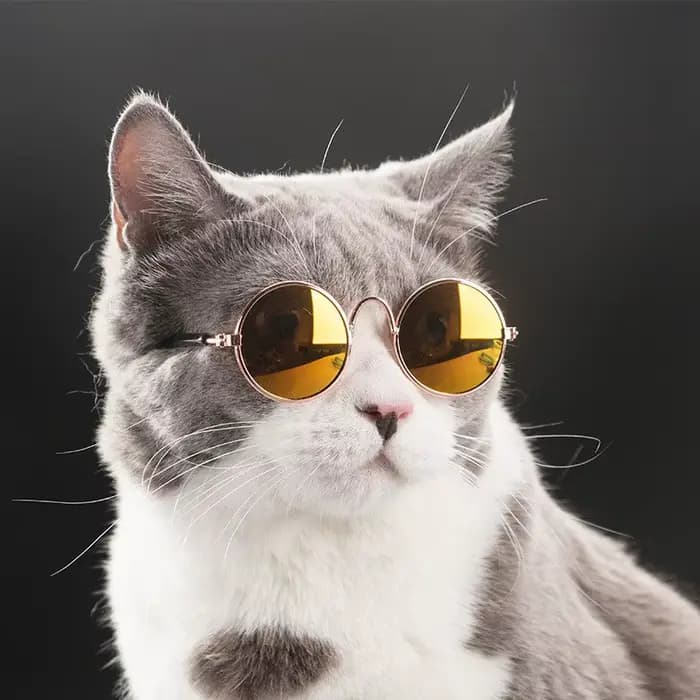 Jolies lunettes de soleil rondes Vintage pour animaux de compagnie, lunettes réfléchissantes pour pe