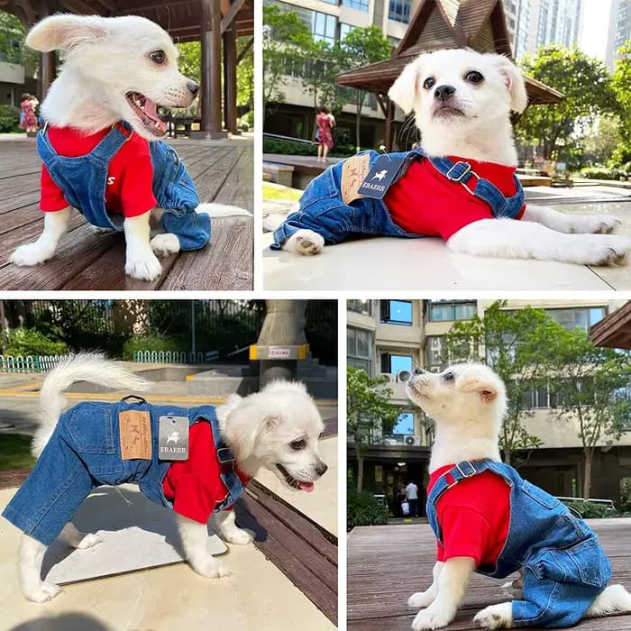 Salopette en jean pour animaux de compagnie pour bouledogue français, combinaison en jean pour chien